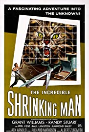 The Incredible Shrinking Man (1957) Spanish Subtitle