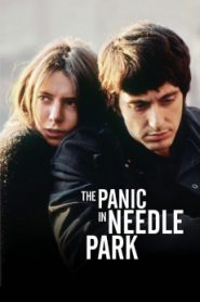 The Panic in Needle Park (1971) Spanish Subtitle