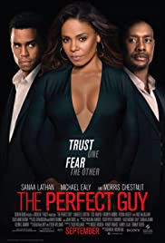 The Perfect Guy (2015) Spanish Subtitle
