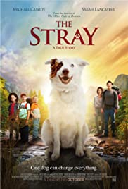 The Stray (2017) Spanish Subtitle