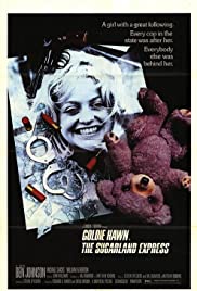 The Sugarland Express (1974) Spanish Subtitle