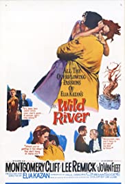 Wild River (1960) Spanish Subtitle